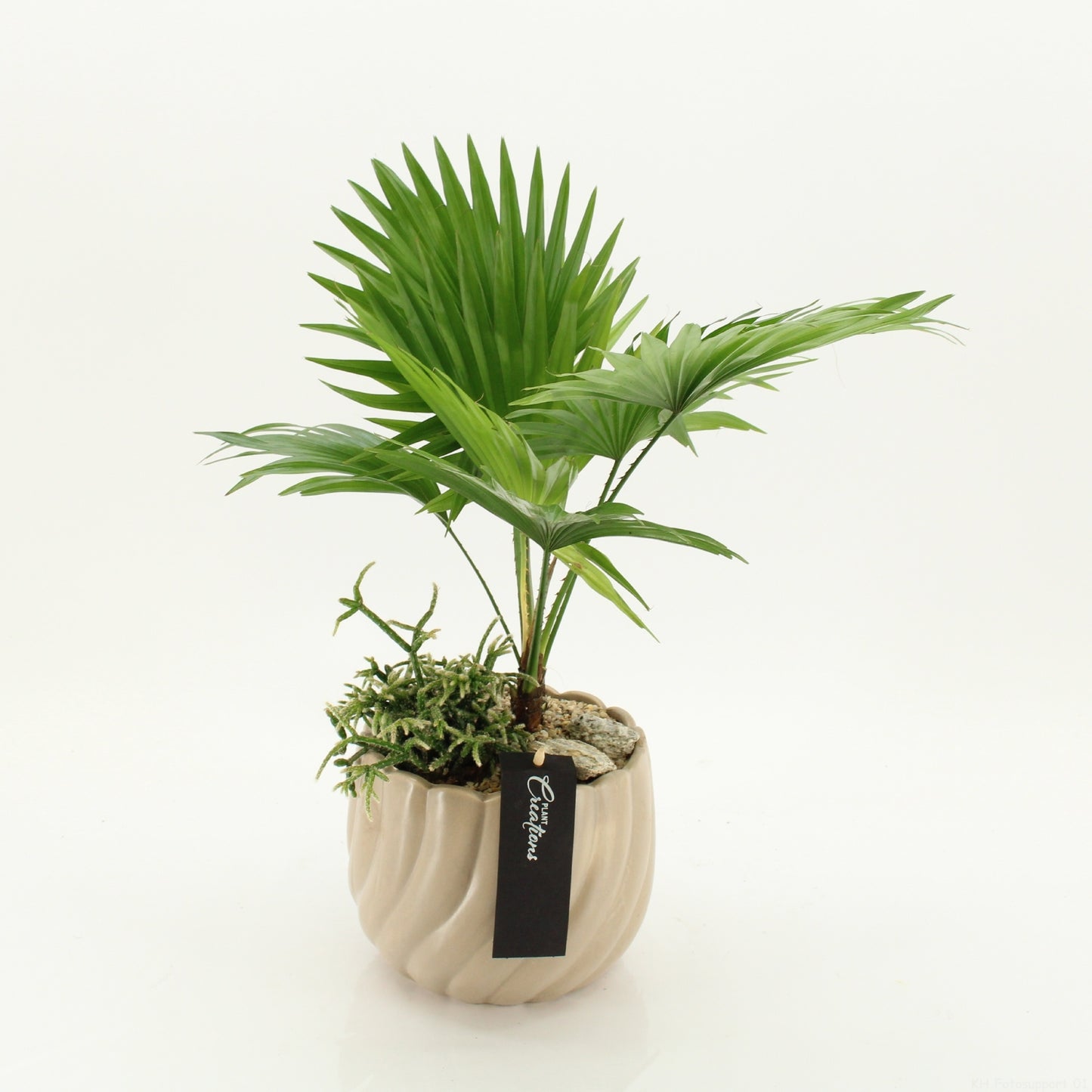GRCR-2644 Green Essentials 50cm 17cm Pot