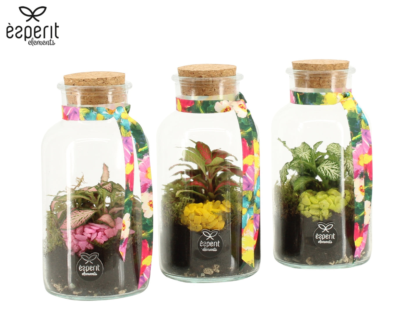 Esperit Elements Vof Indoor arrangement Pack of 9