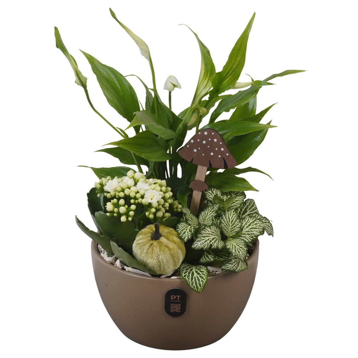 Indoor arrangement 34cm 16cm Pot
