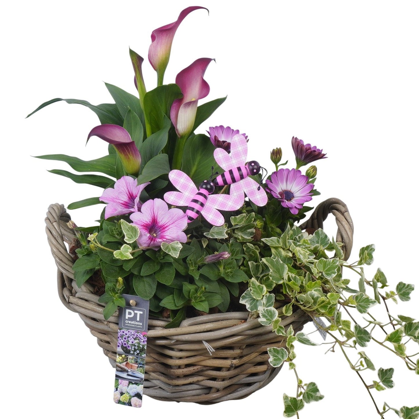 arr. PM196 40cm 28cm Pot