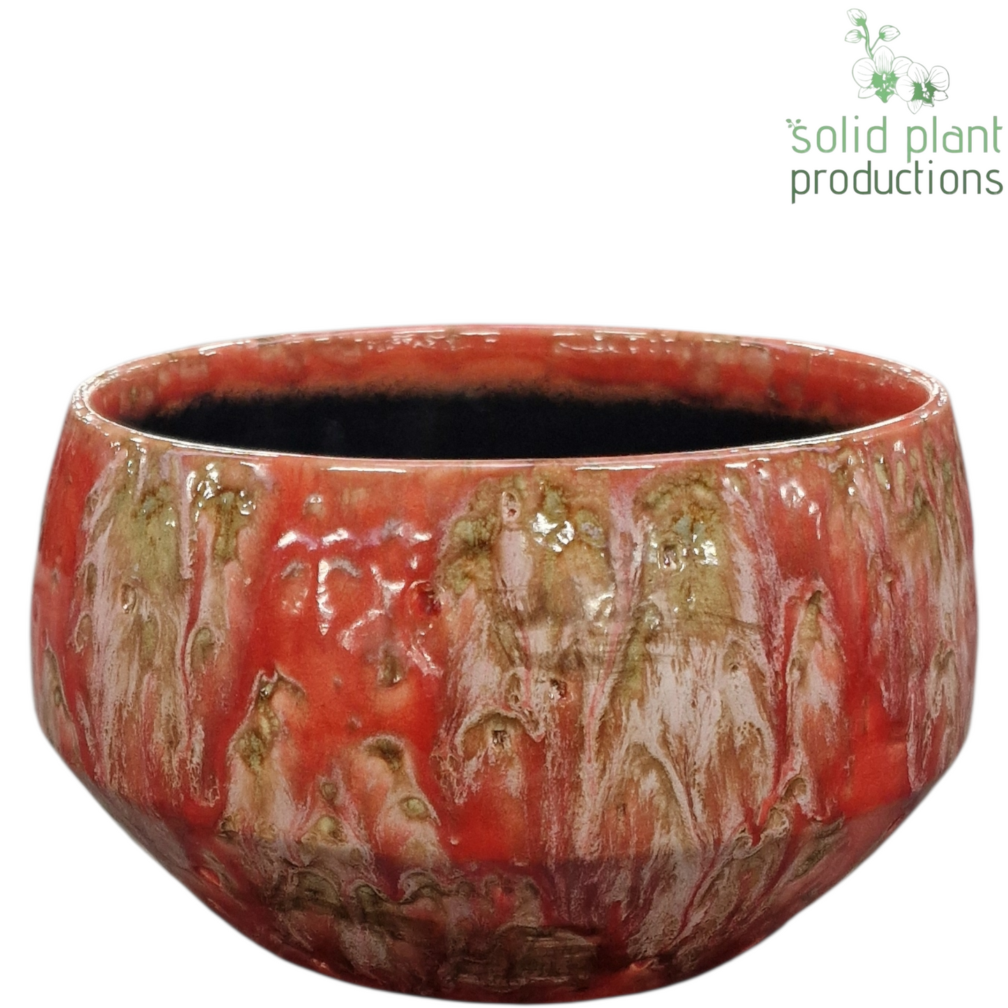 Solid Plant Productions C099 Sophia Festival Pink Mini Pack of 8