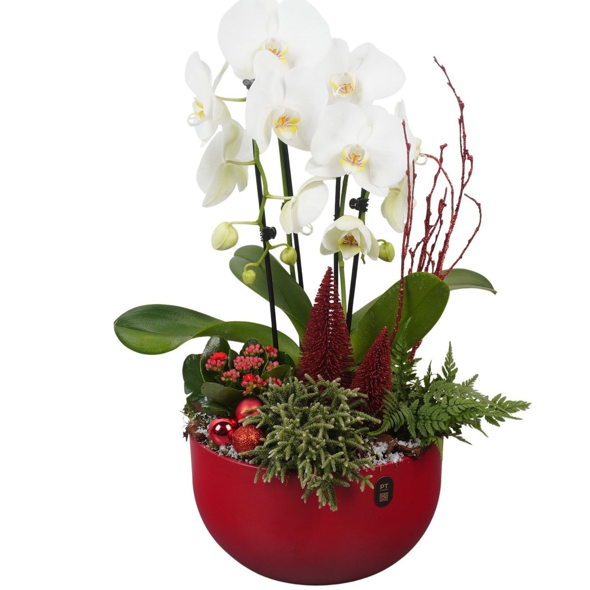 Christmas arrangement 57cm 26cm Pot