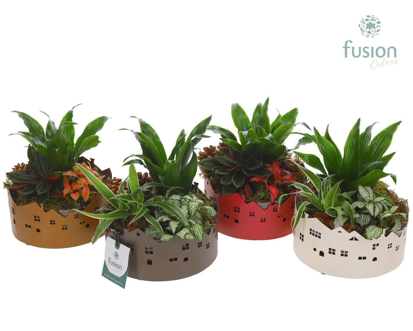 Zinken schaal Huisjes Small met arrangement 20cm 15cm Pot