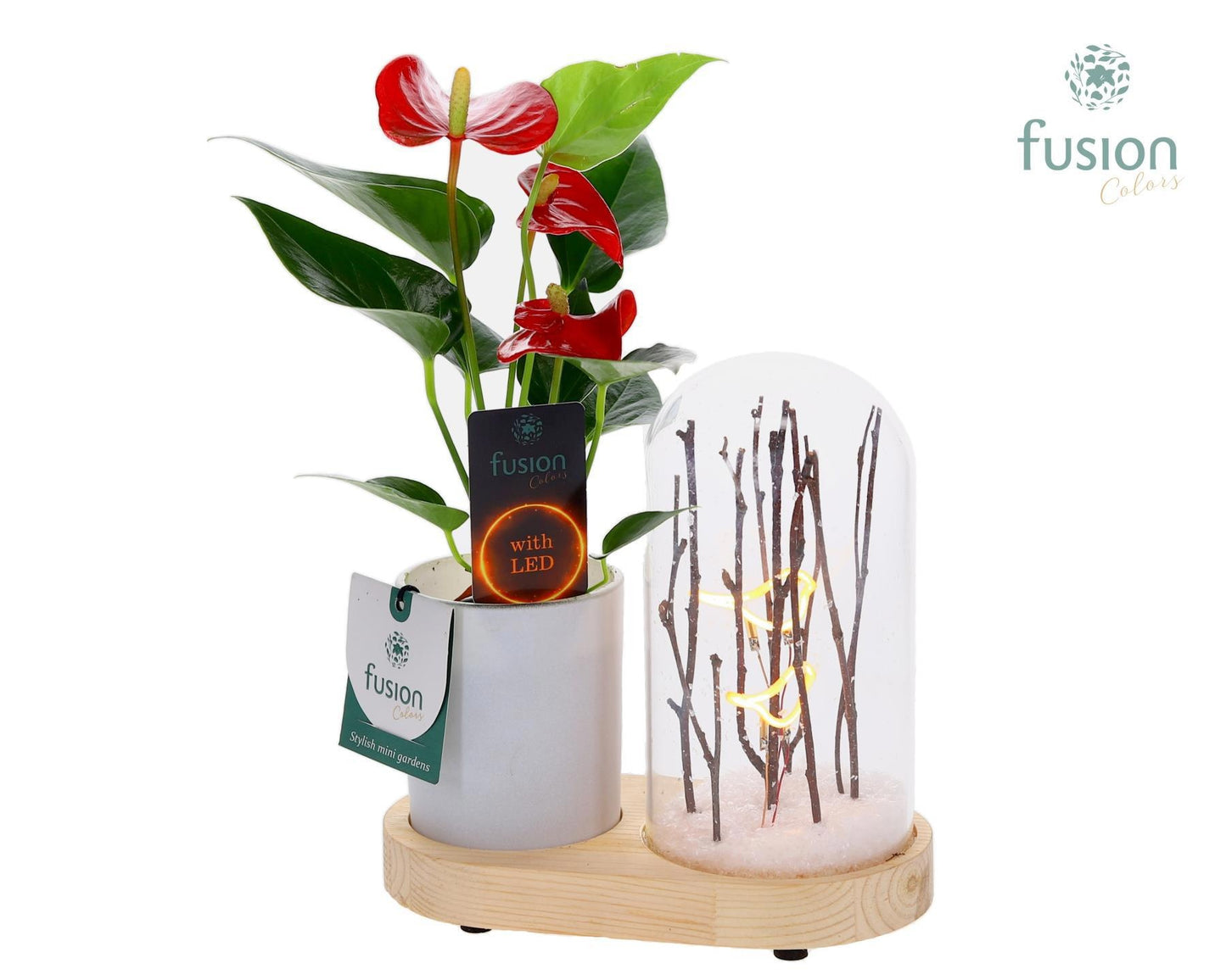 Fusioncolors BV Houten LED Lichtbal Vogels houten planter met Anthurium Pack of 6