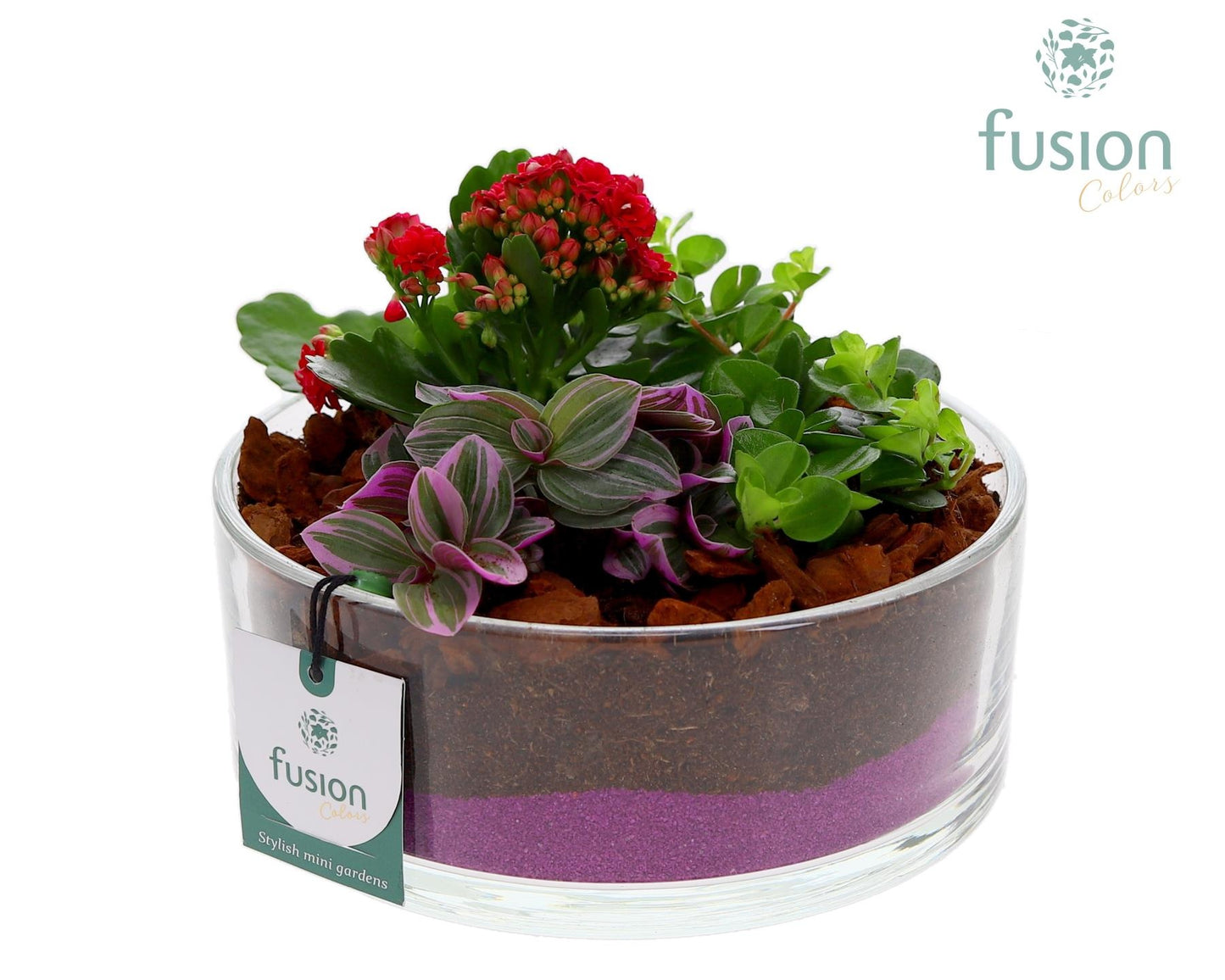 Glas cilinderschaal met Arrangement 3pp 15cm 19cm Pot