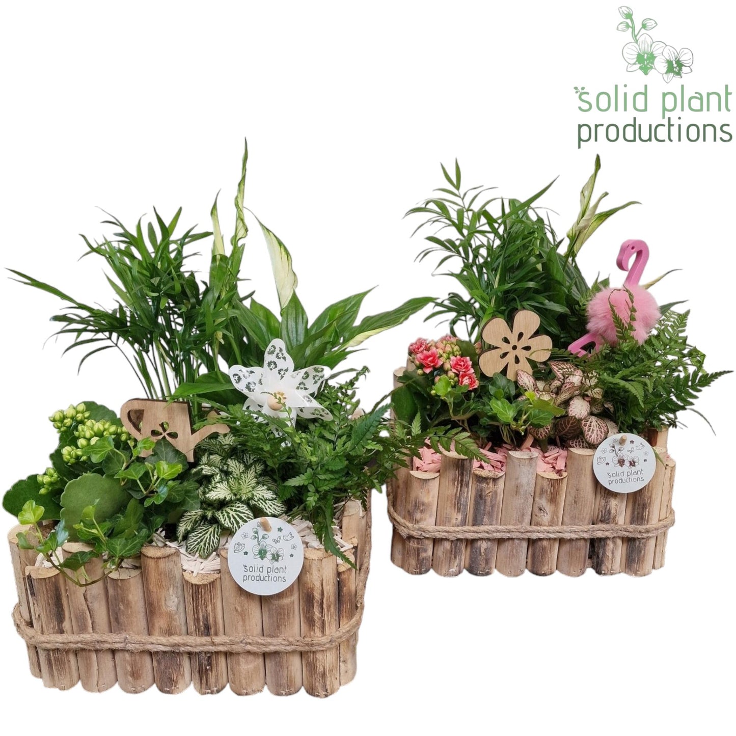 HSC008 Verona Large White/Pink Mix 38cm 30cm Pot