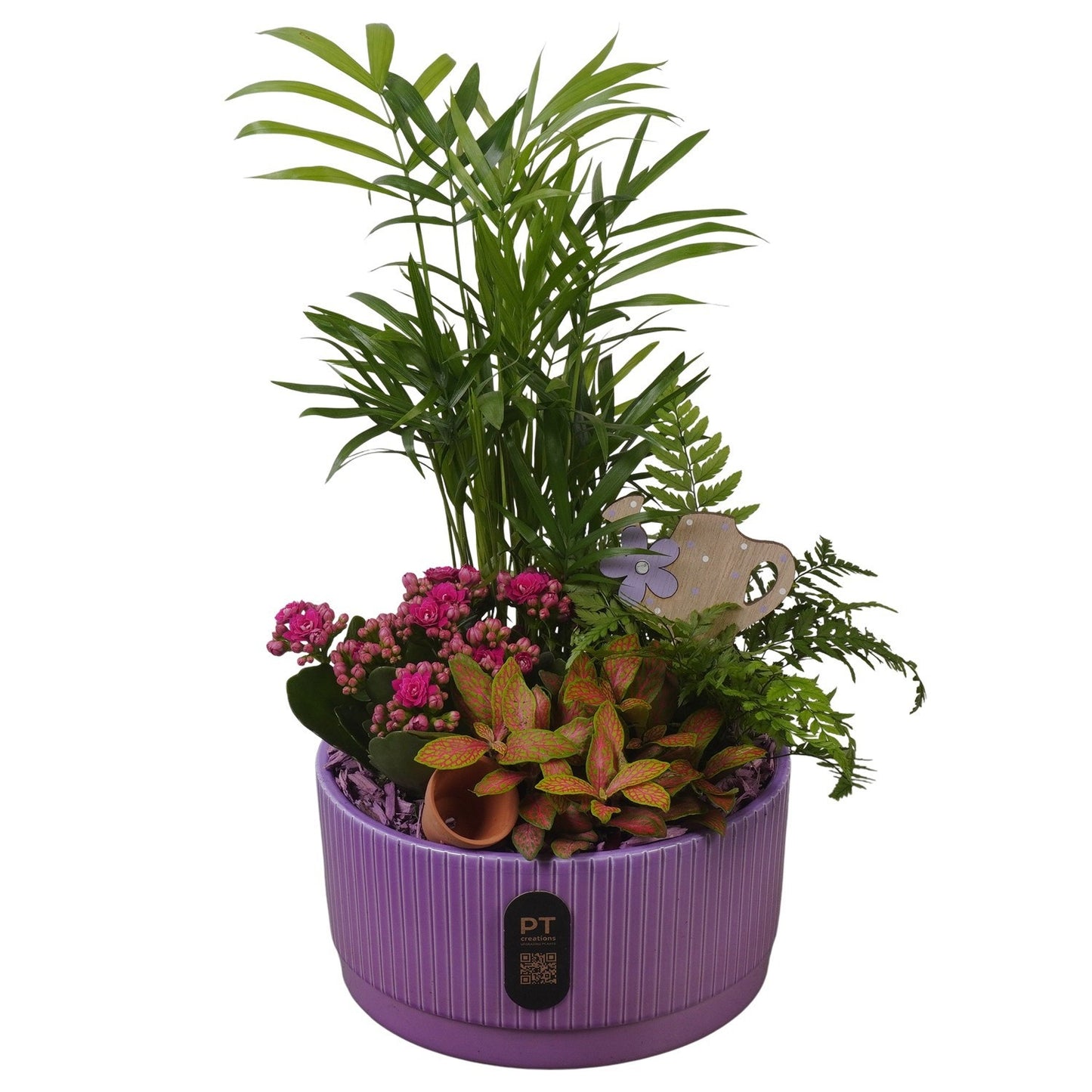 Indoor arrangement 37cm 19cm Pot
