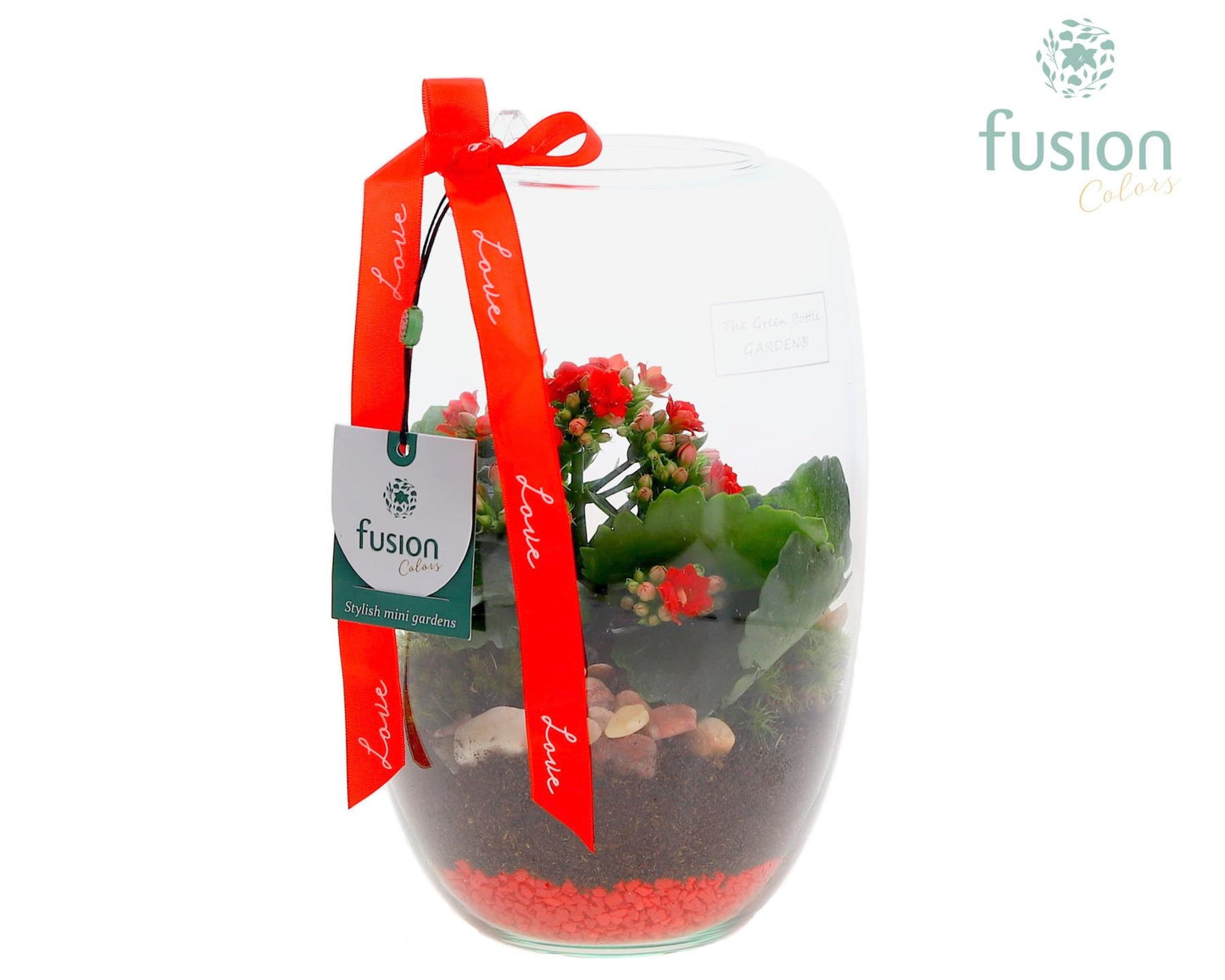 Green Bottle Isabella Small Love met Kalanchoe 25cm 15cm Pot