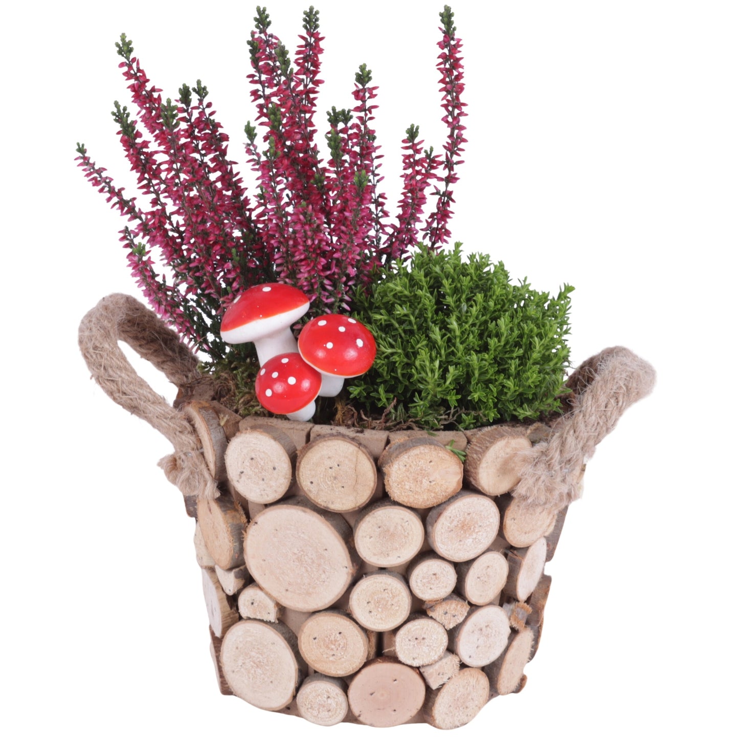 Outdoor arrangement 25cm 16cm Pot