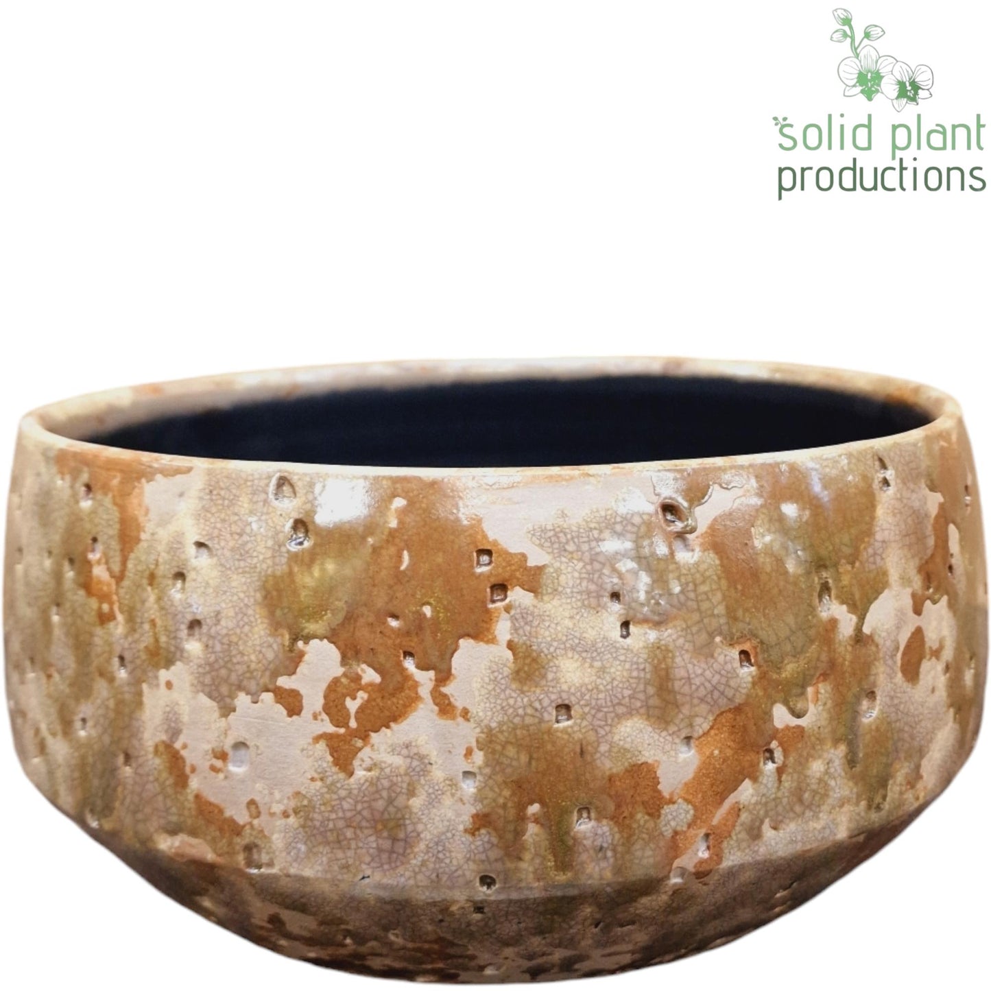Solid Plant Productions C100 Sophia Taupe Large Pack of 4