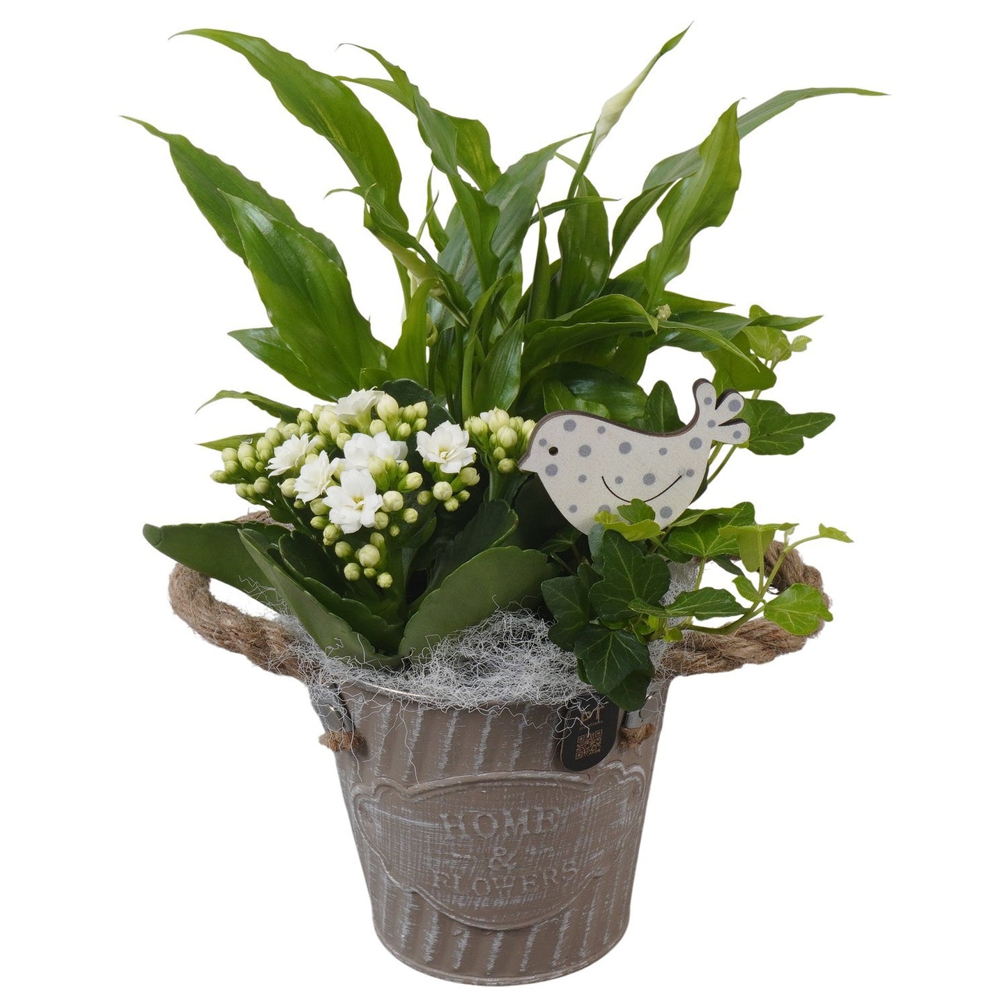 Indoor arrangement 29cm 12cm Pot