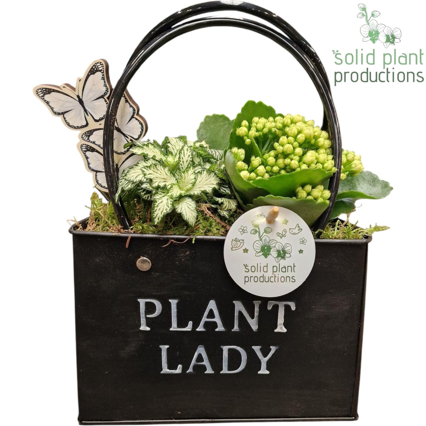Solid Plant Productions ZKE001 Black Bag Large Pack of 4