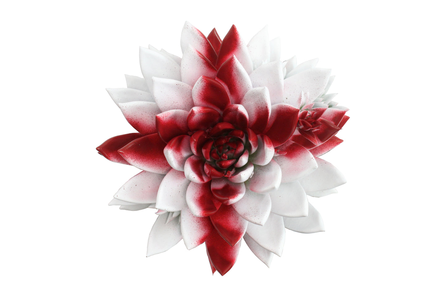 Miranda coloured flag England 8cm 6cm Pot
