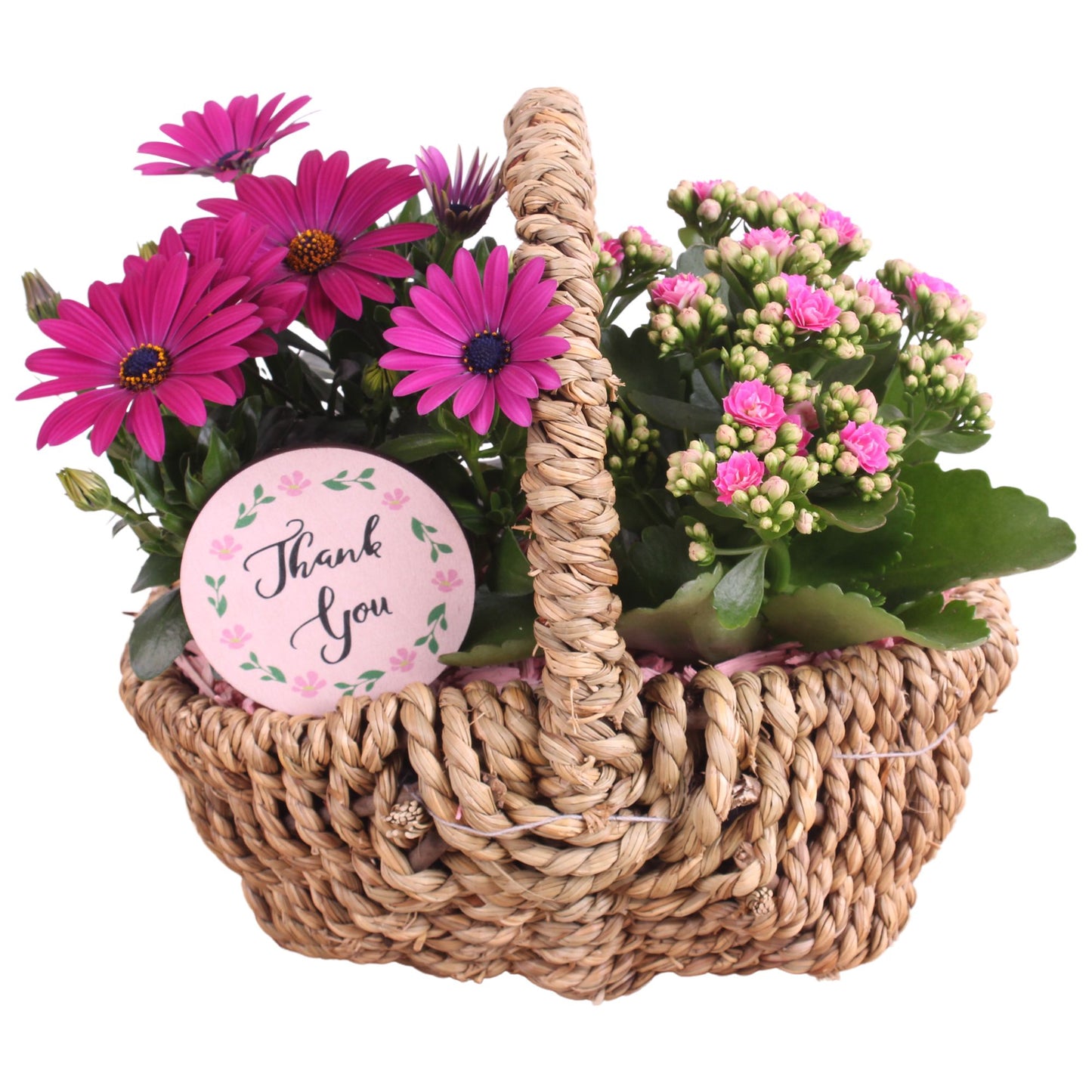 Outdoor arrangement 30cm 25cm Pot