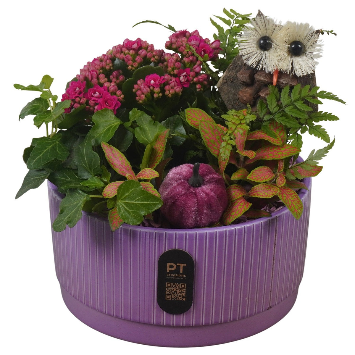 Indoor arrangement 21cm 19cm Pot