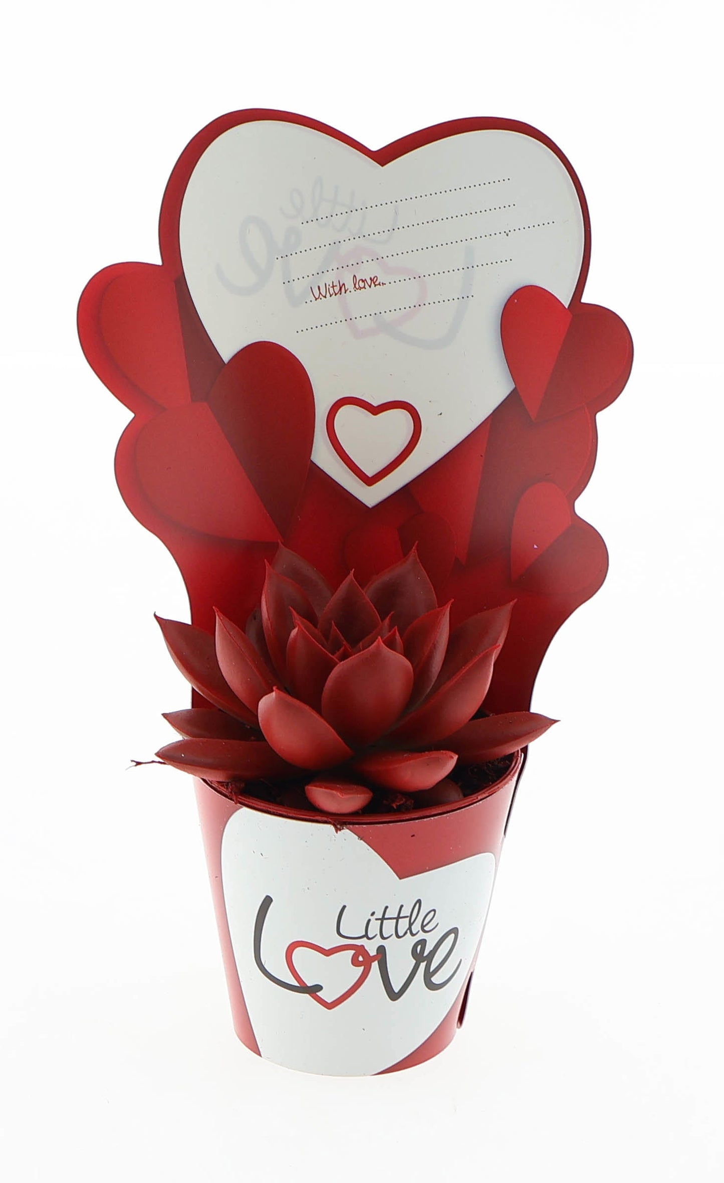Euro Cactus Holland Bv Potcover little love miranda rood Pack of 20