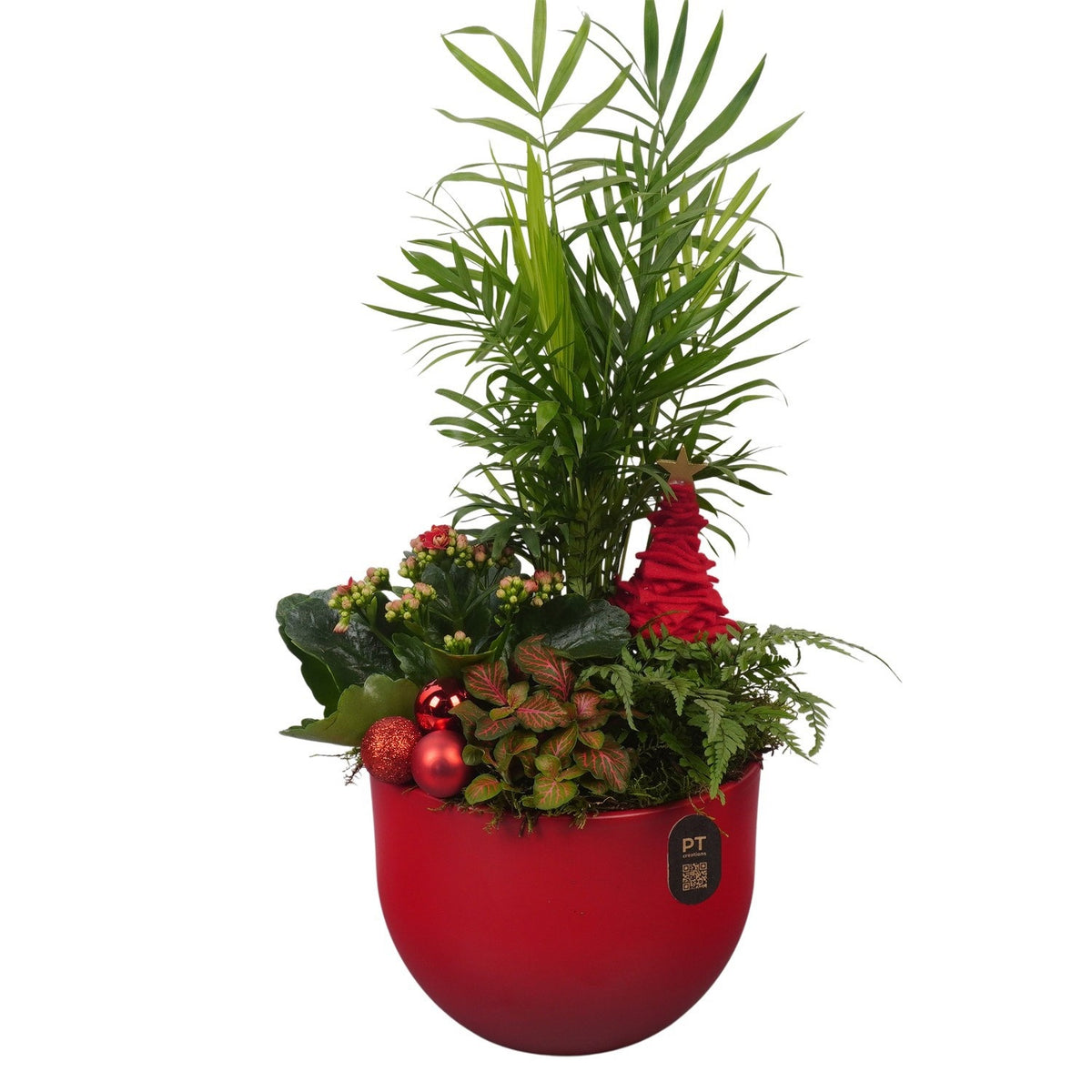 Christmas arrangement 49cm 19cm Pot