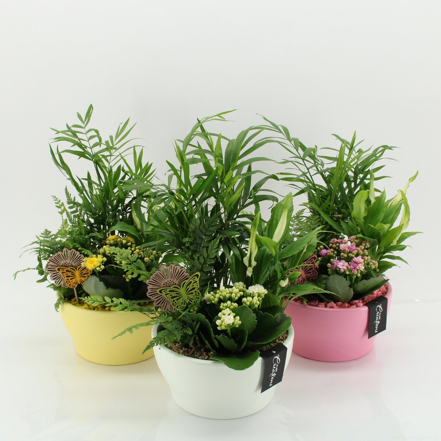 SECR-2622M Summer Essentials Colors 35cm 19cm Pot