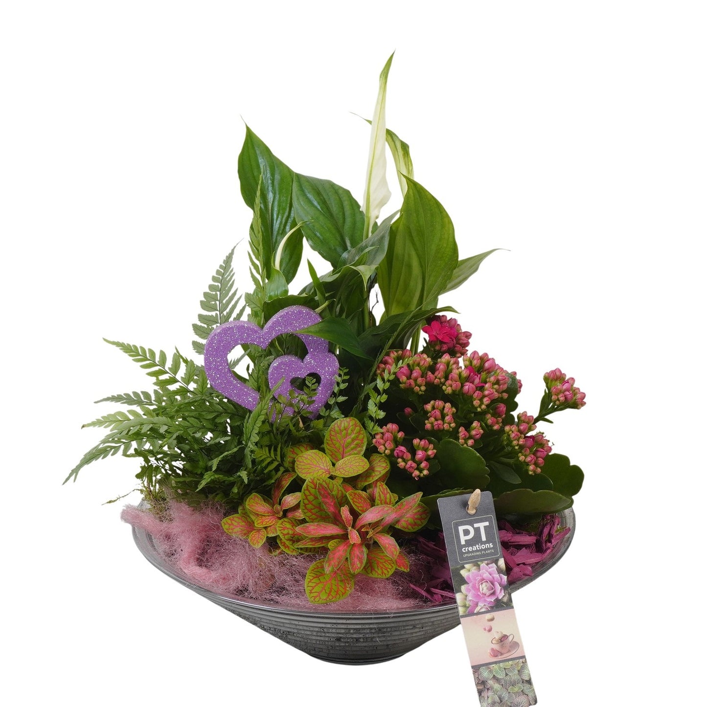 Indoor arrangement 36cm 26cm Pot