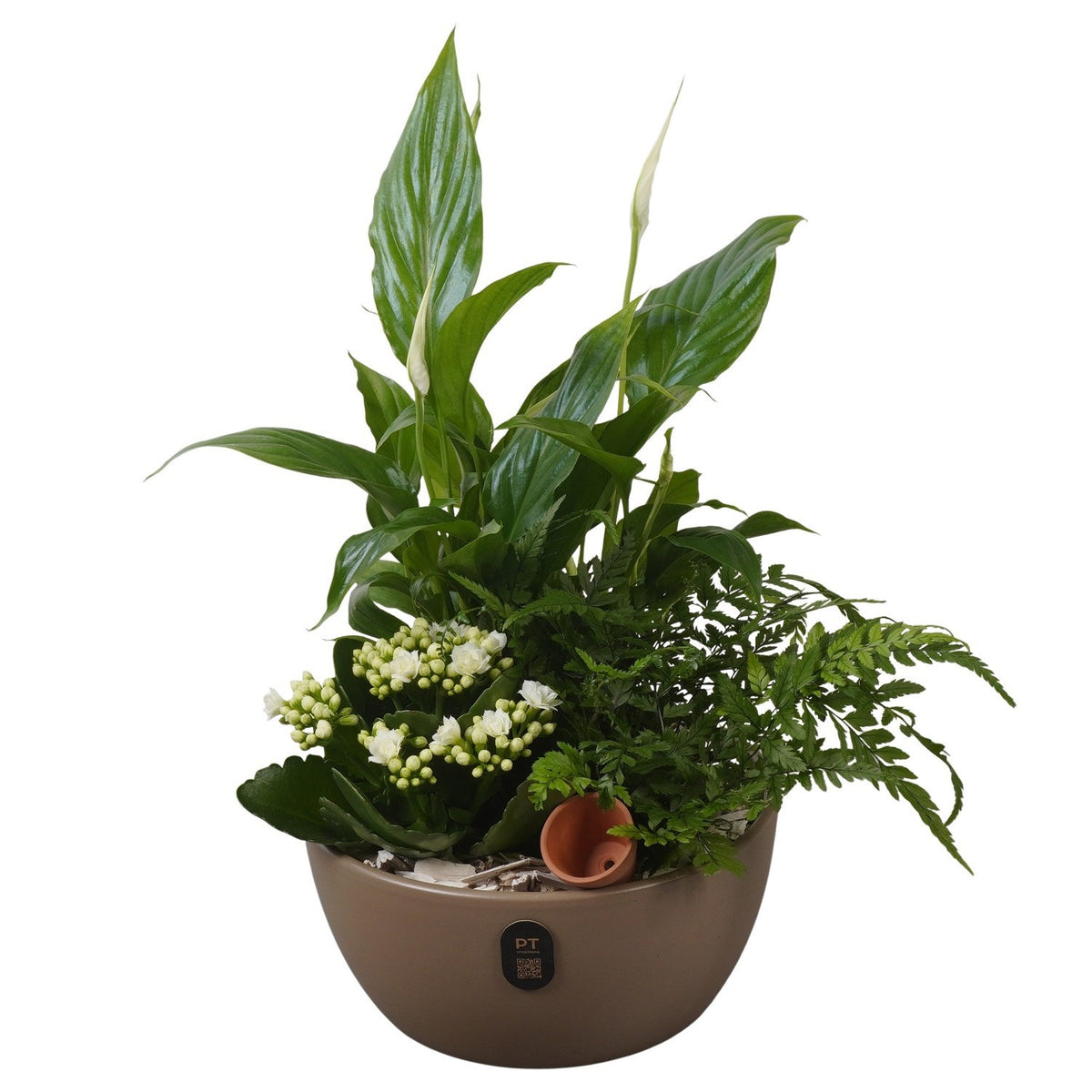 Indoor arrangement 37cm 18cm Pot