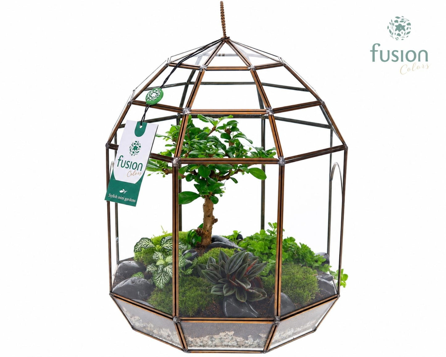 Geometrisch glazen terrarium XLarge met arrangement 35cm 25cm Pot