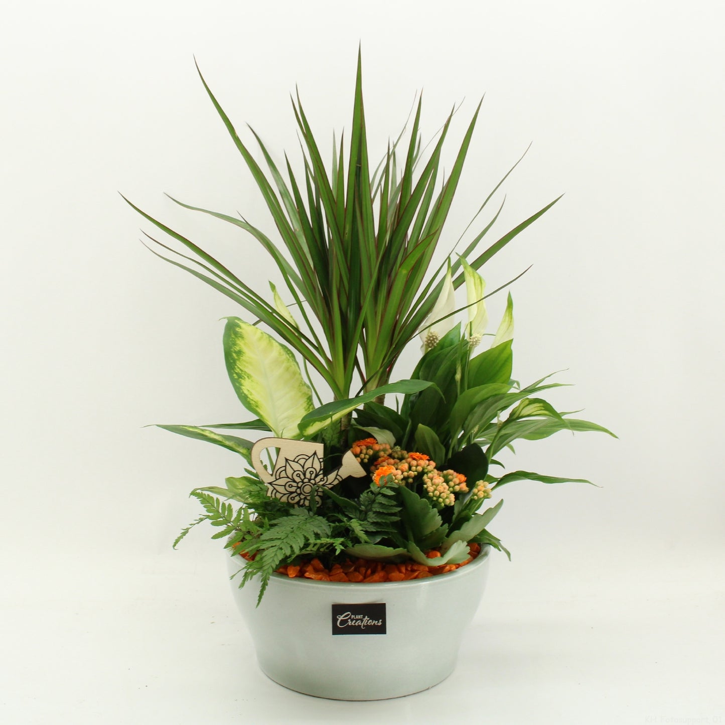 Indoor flowering arrangement 50cm 22cm Pot