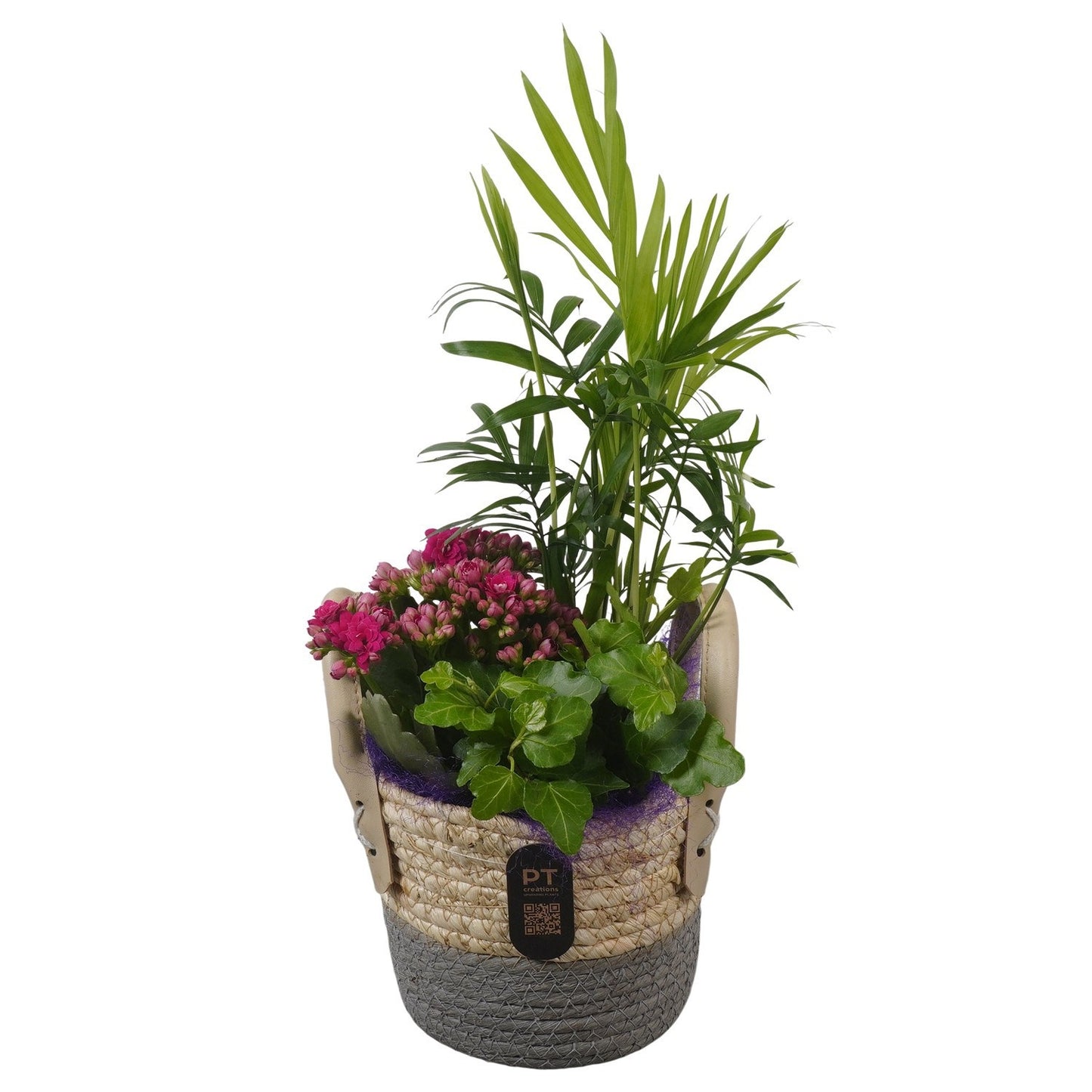 Indoor arrangement 40cm 14cm Pot