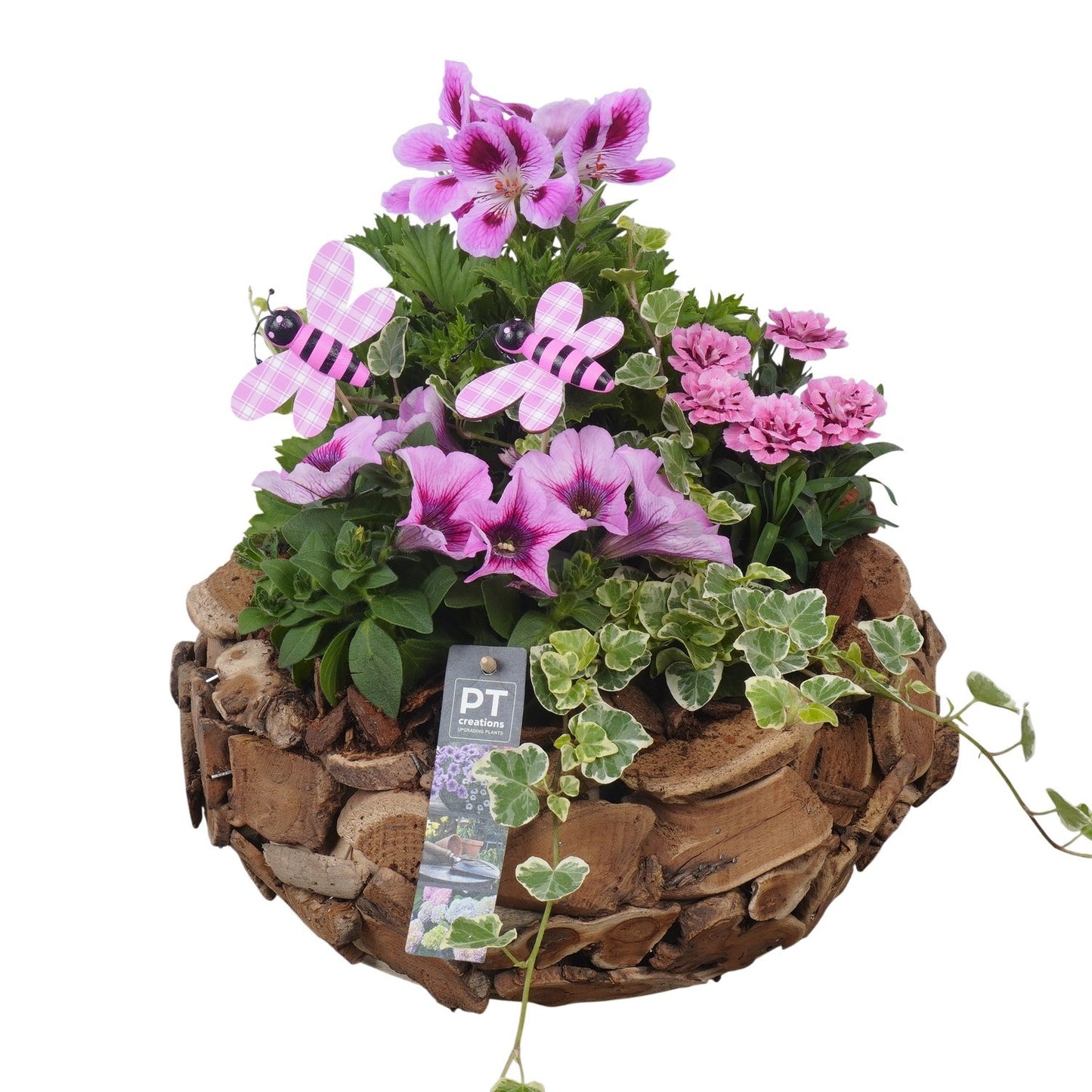 arr. PM196 31cm 32cm Pot
