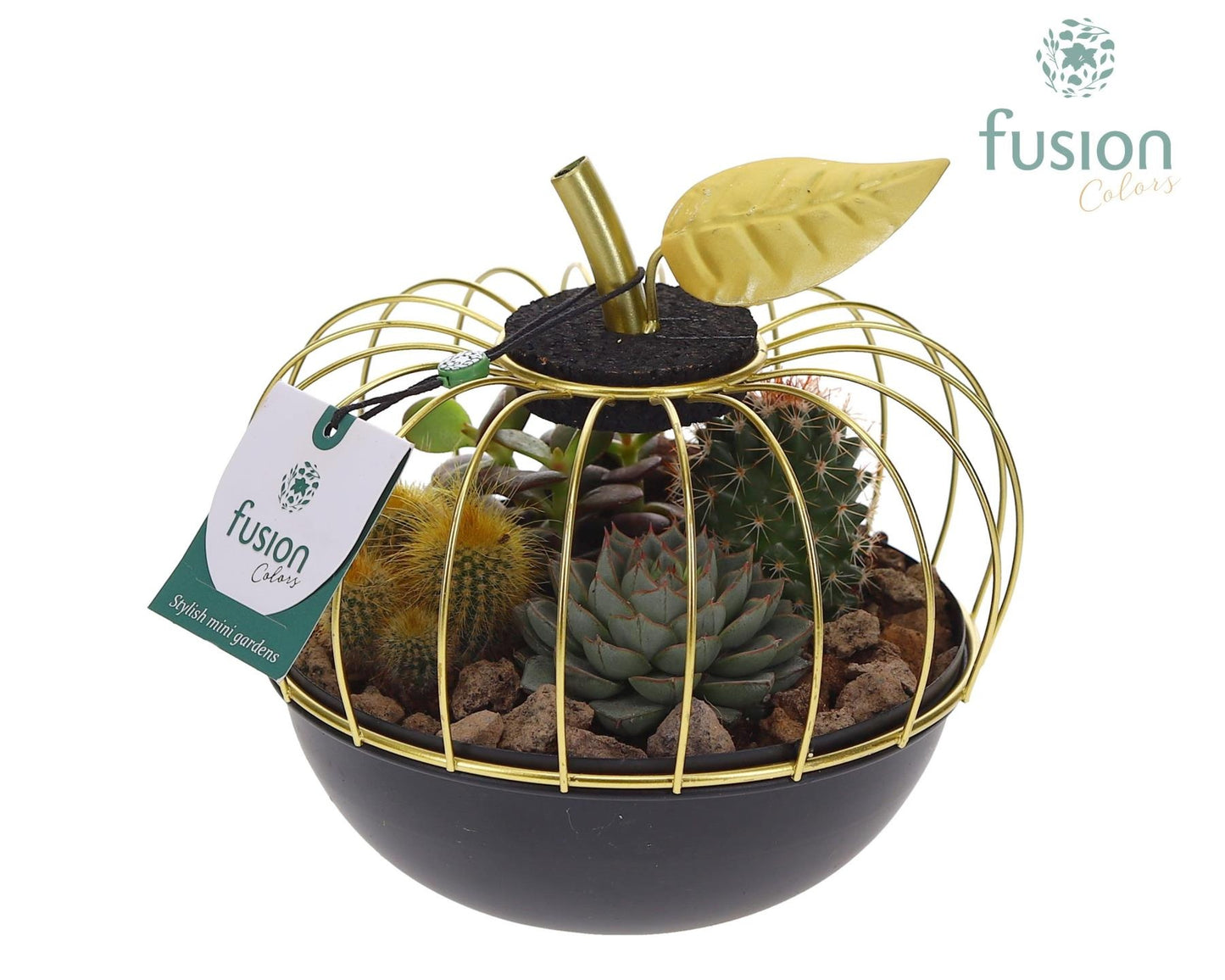 Metaal appel goudzwart Small met Cactussen en Succulenten 20cm 17cm Pot