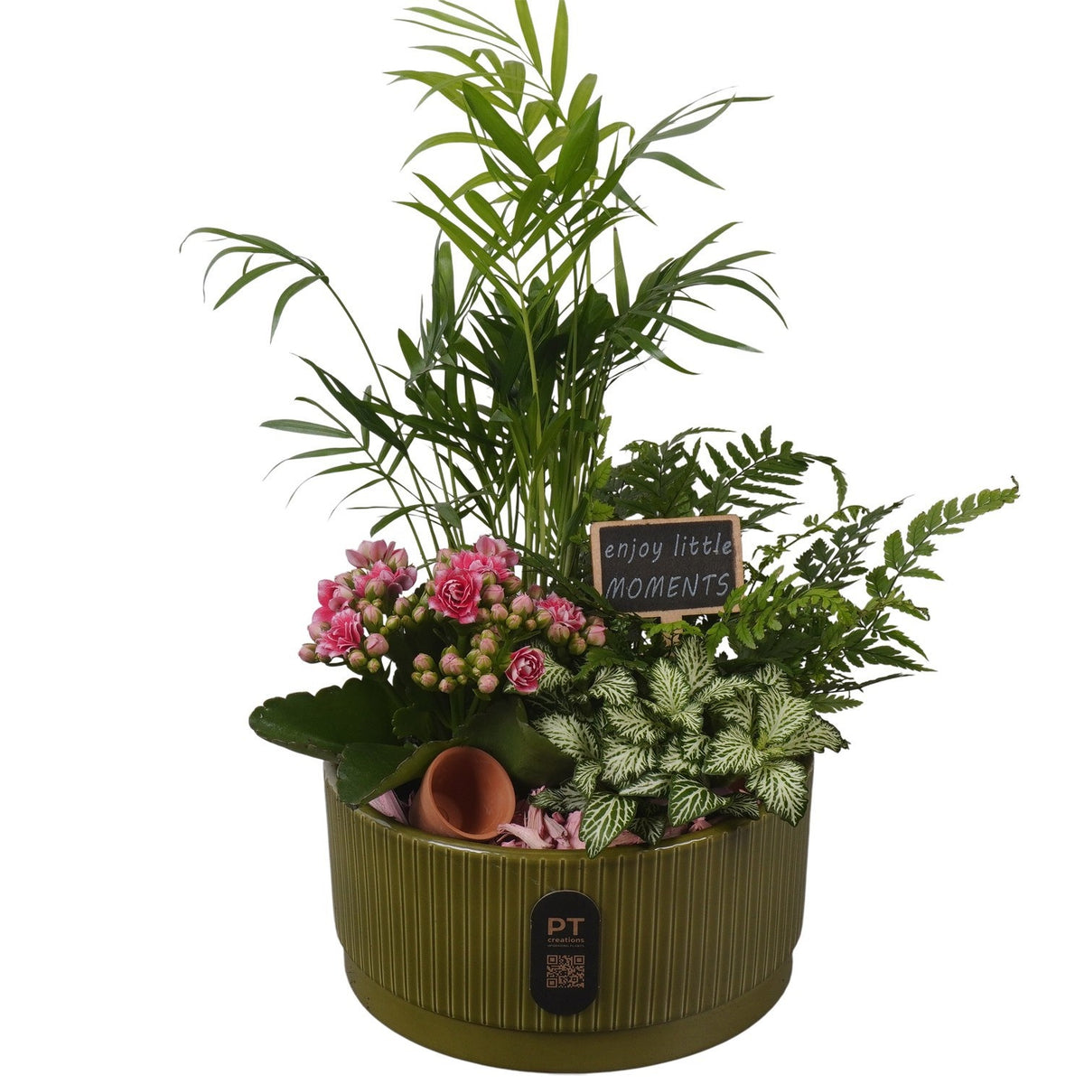 Indoor arrangement 38cm 19cm Pot
