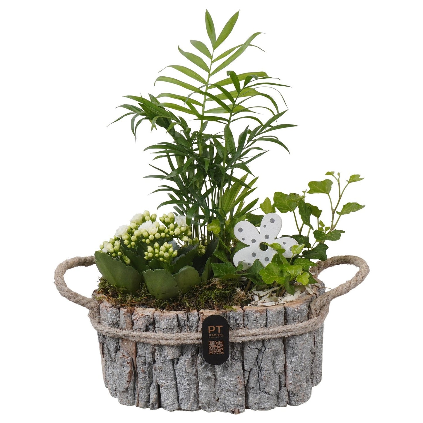Indoor arrangement 35cm 23cm Pot