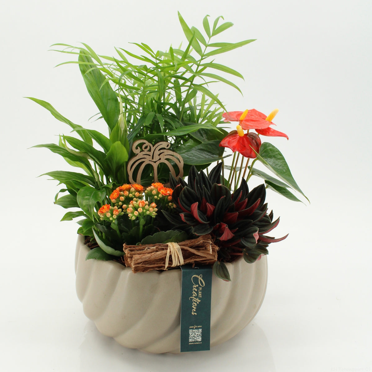 HECR-2612 Autumn Essentials 45cm 24cm Pot