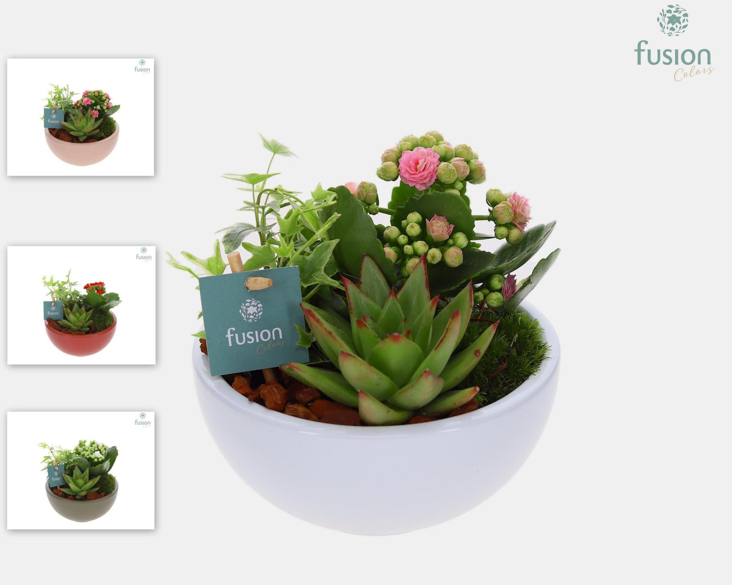 Schaal keramiek Moon Small div. kleuren met Arrangement 20cm 15cm Pot
