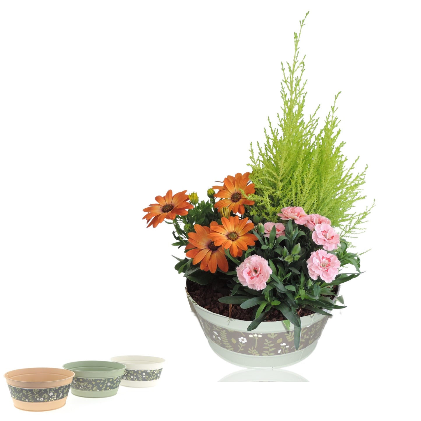 Outdoor arrangement 40cm 21cm Pot
