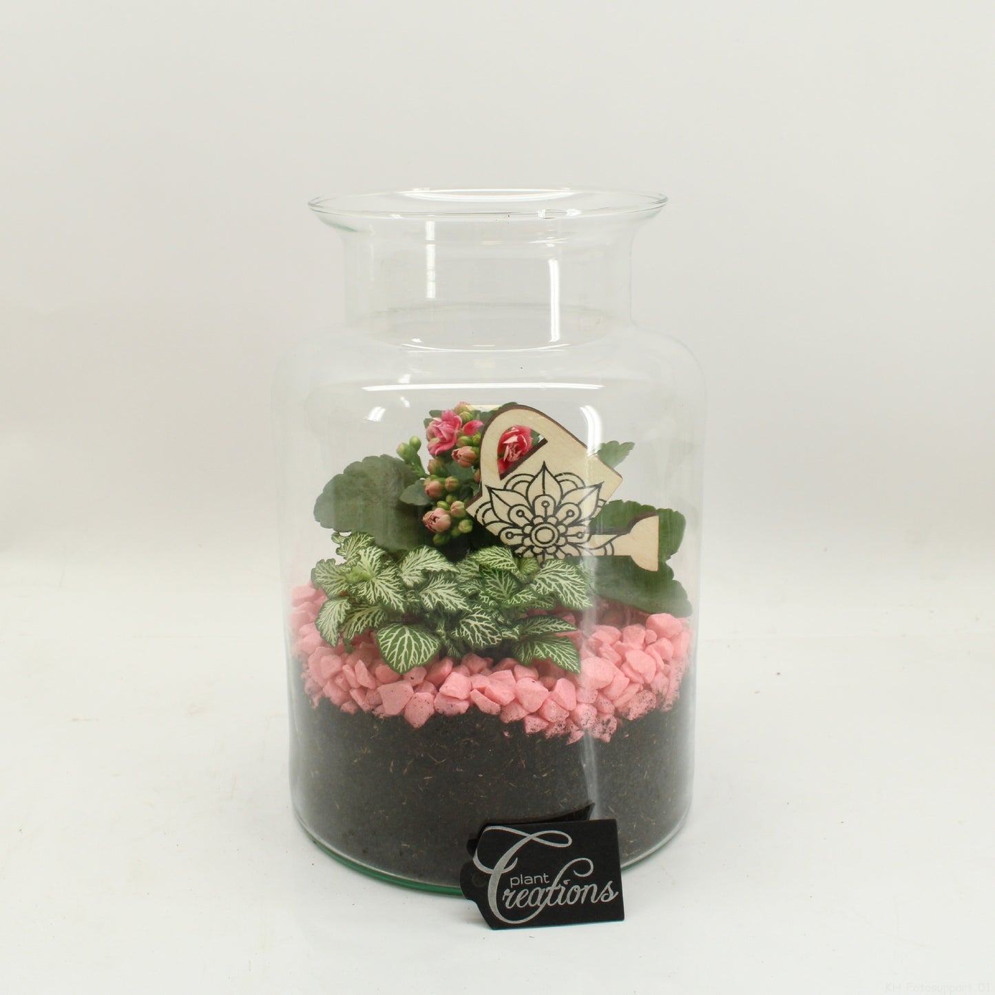 Indoor flowering arrangement 25cm 17cm Pot