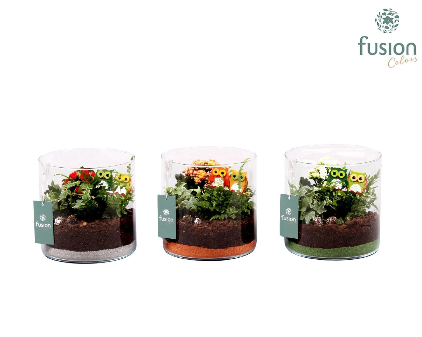 Fusioncolors BV Glas Cilinder Lucille groot Herfst met Arrangement 3pp Pack of 3