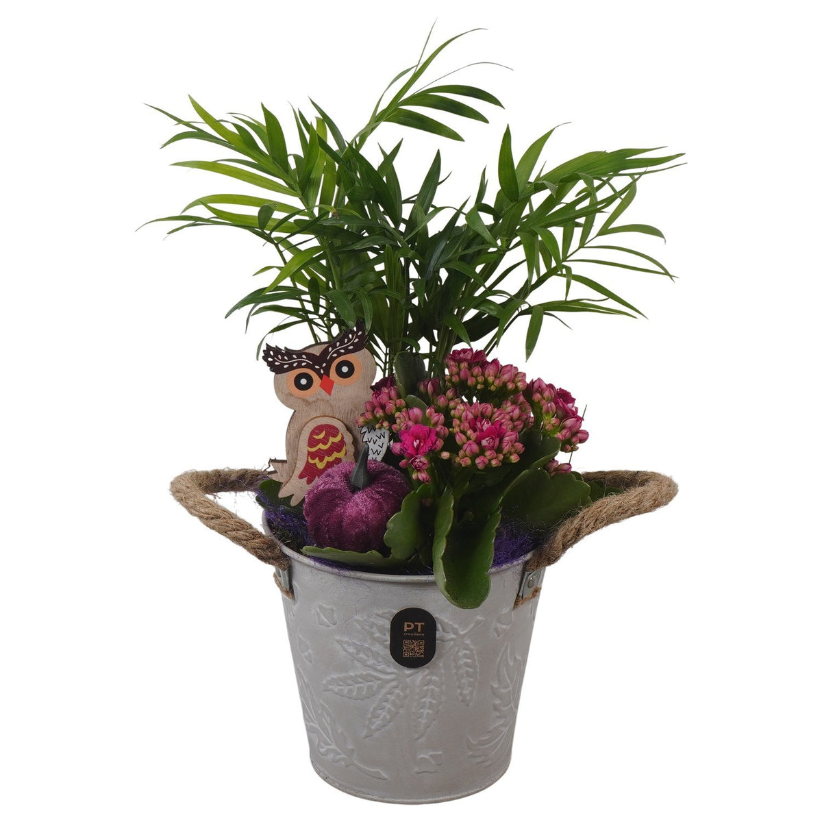Indoor arrangement 32cm 12cm Pot