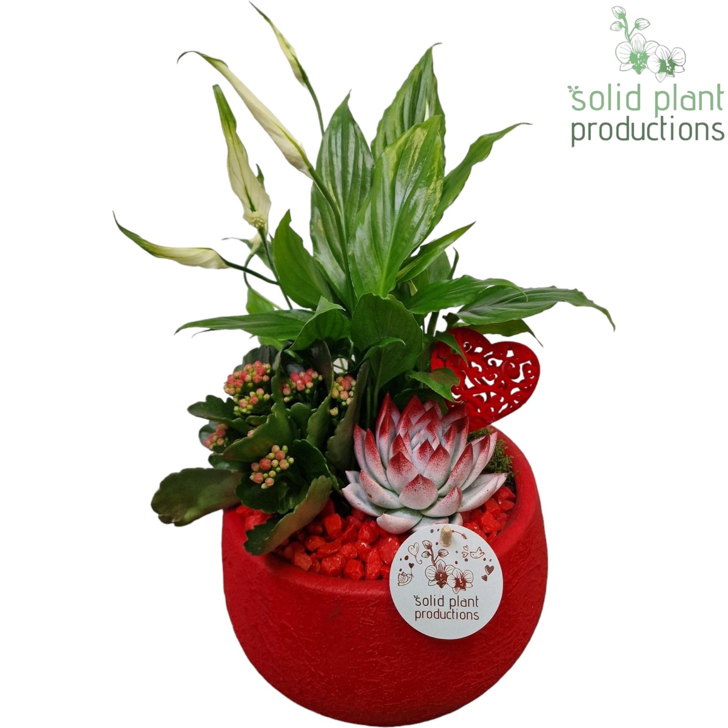 SE054 Esra Red Small 40cm 21cm Pot