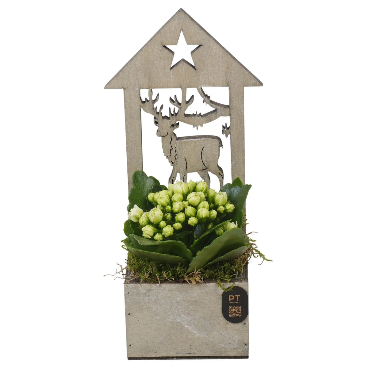 Christmas arrangement 25cm 9cm Pot