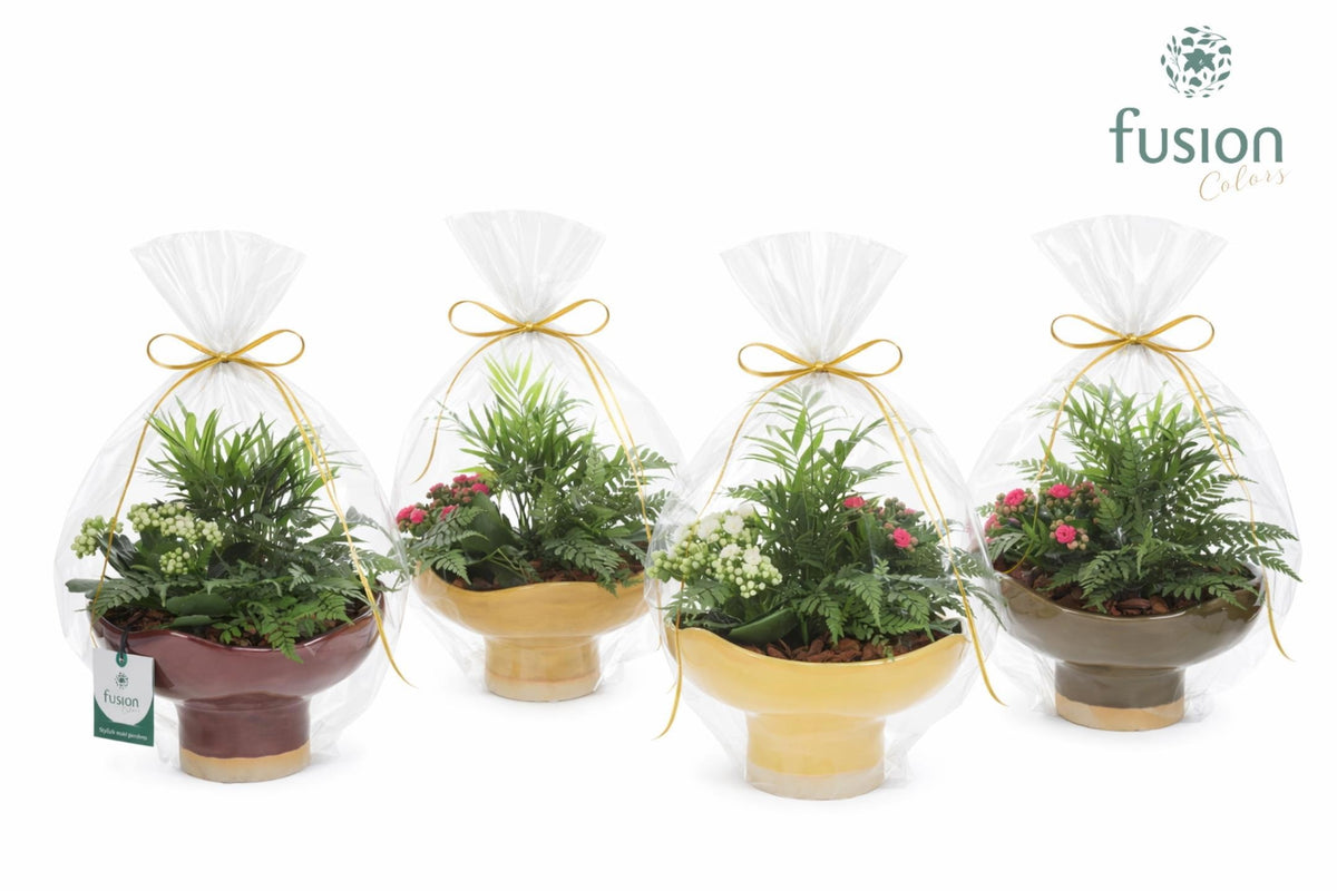 Keramiek schaal op voet Large met Arrangement in klaphoes 43cm 19cm Pot