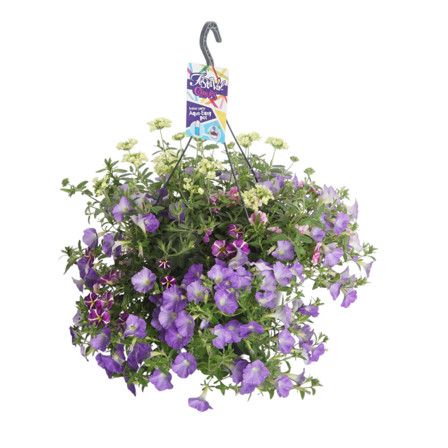 Annual plants mix 30cm 27cm Pot