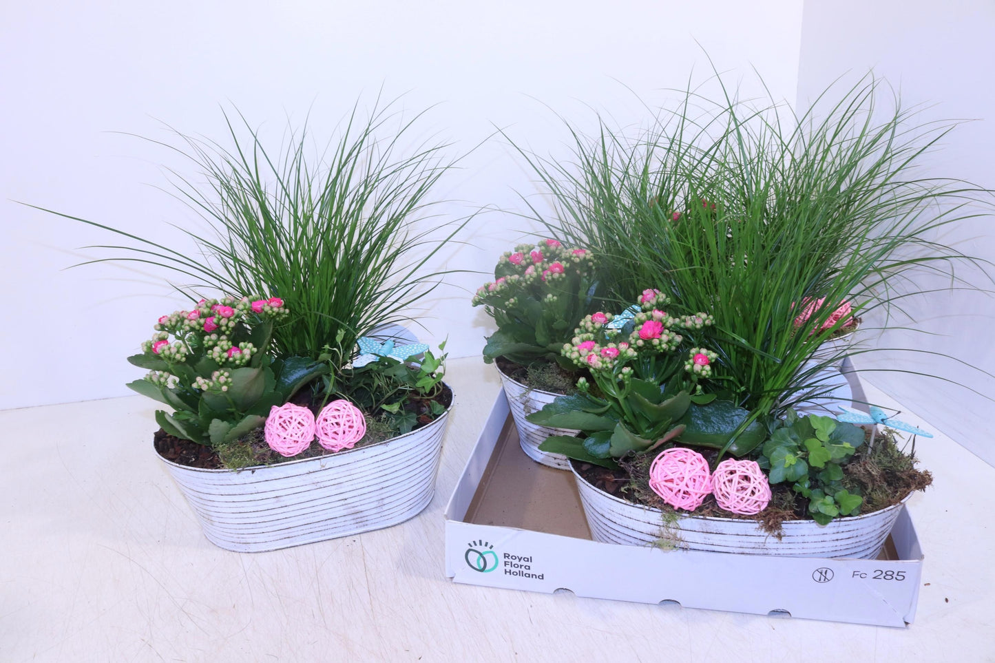 Outdoor arrangement 25cm 30cm Pot