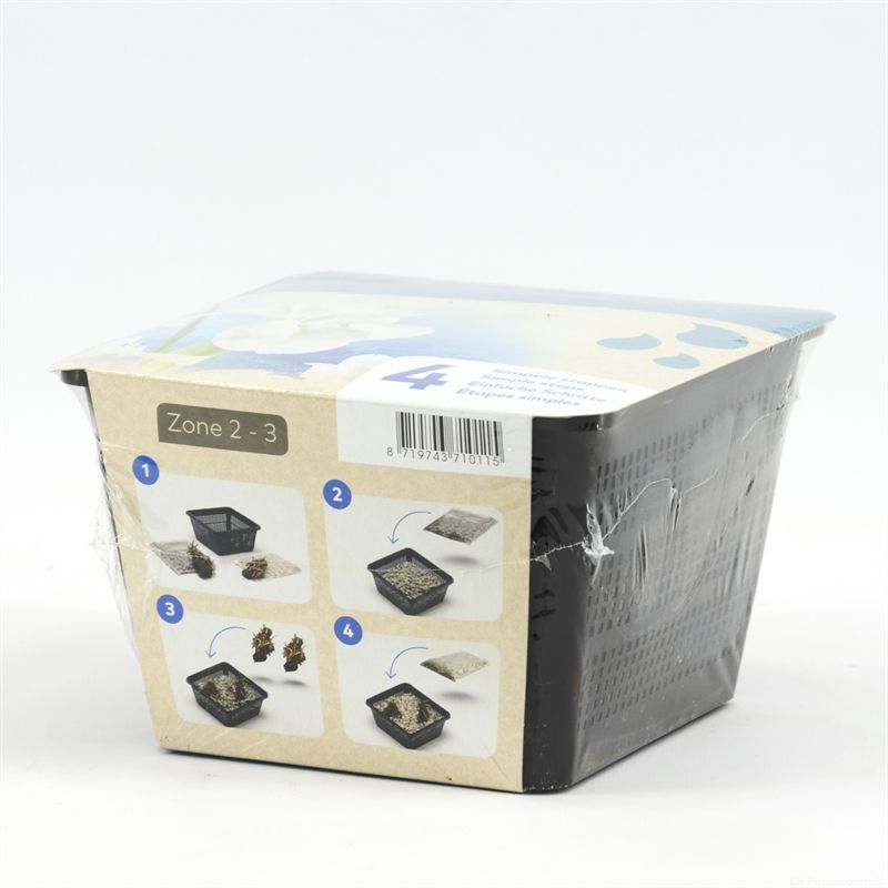 Do-it-yourself box Waterplants white Iris 12cm 18cm Pot