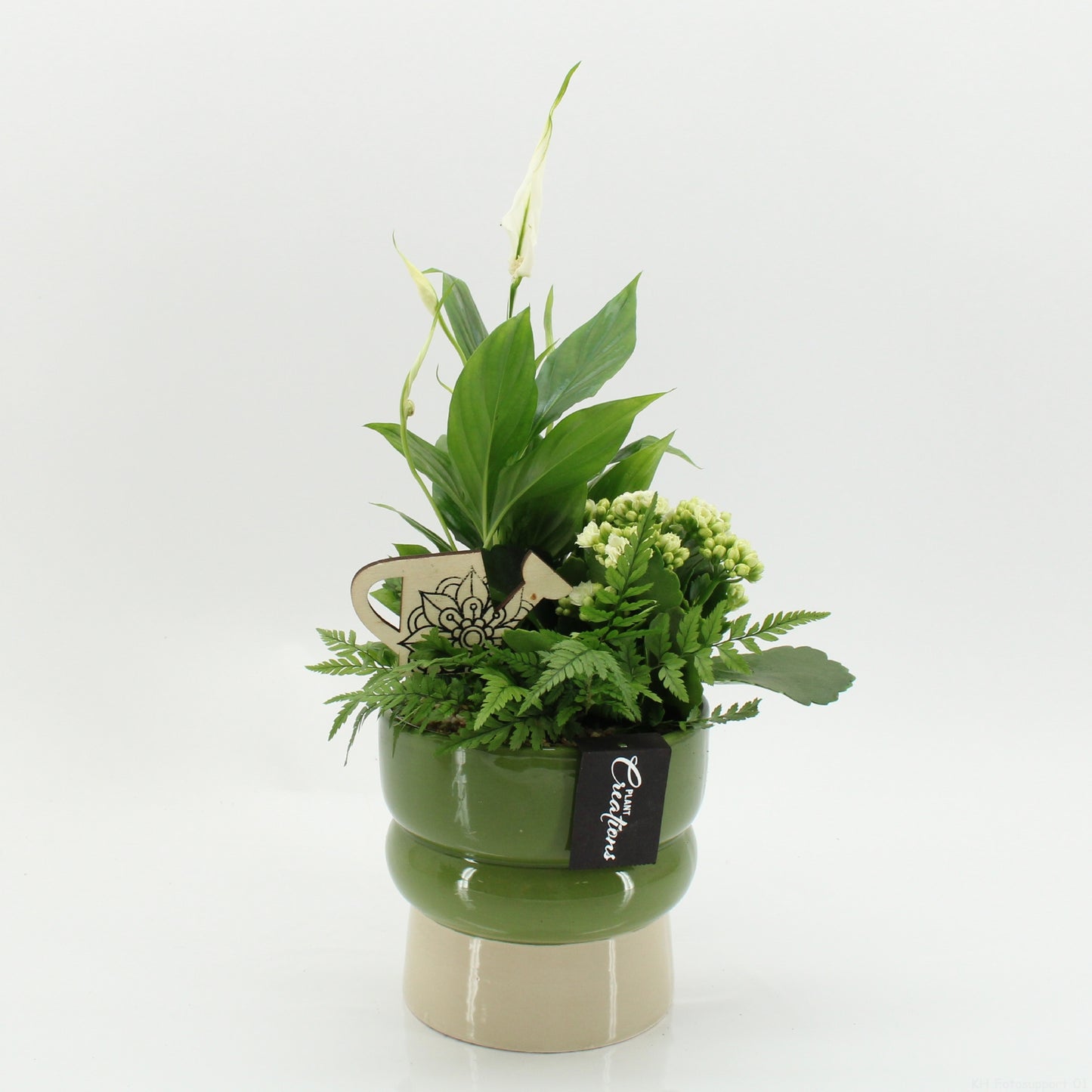 arr. Kamerplanten ESCR-2619W 35cm 14cm Pot