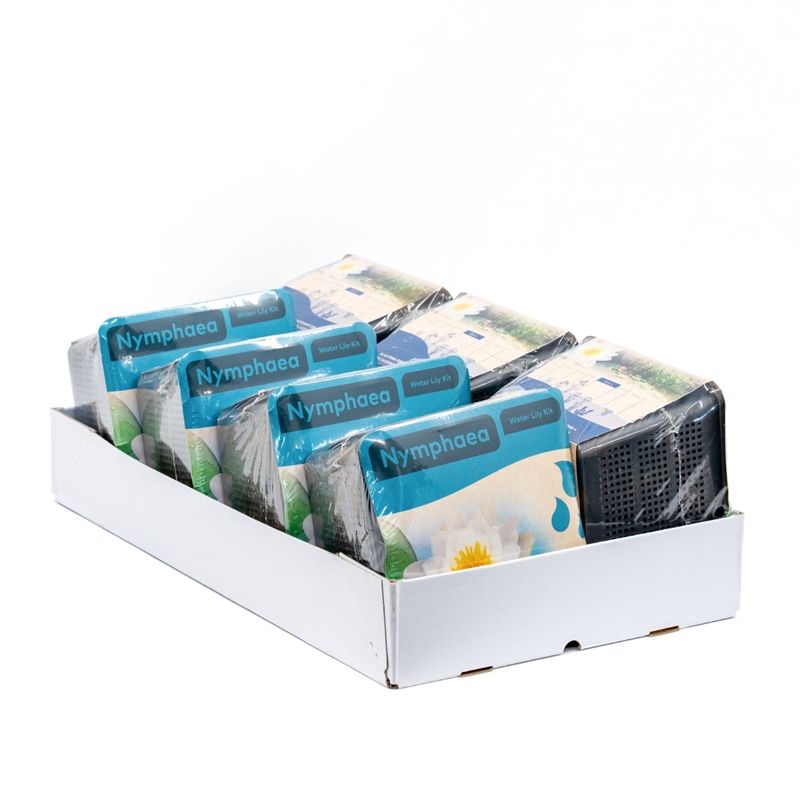 Do-it-yourself box Water lily white 12cm 18cm Pot