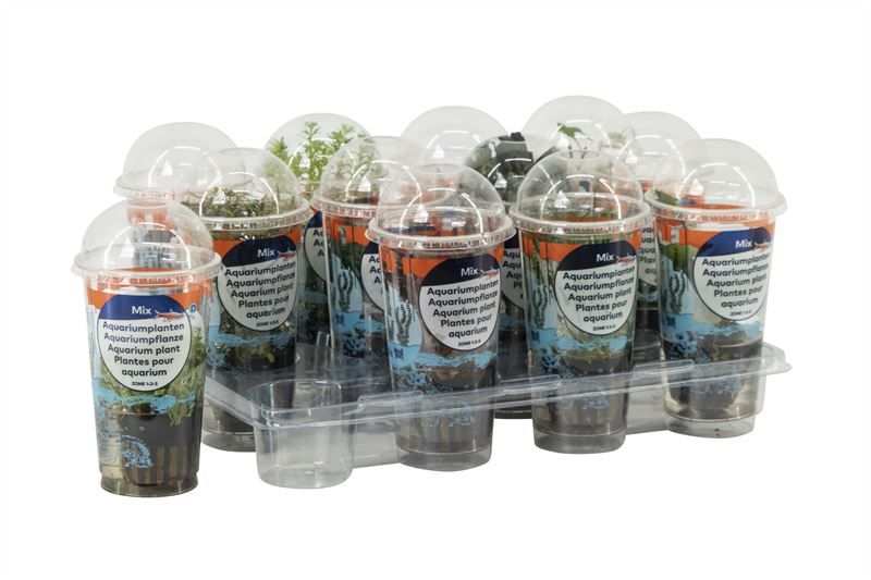 Aquarium plants cup small 15cm 10cm Pot