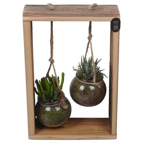 PTSUT8933 Arrangementen kamerplanten 29cm 19cm Pot