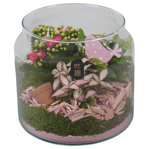 PTIG2623 Arrangementen kamerplanten 19cm 19cm Pot