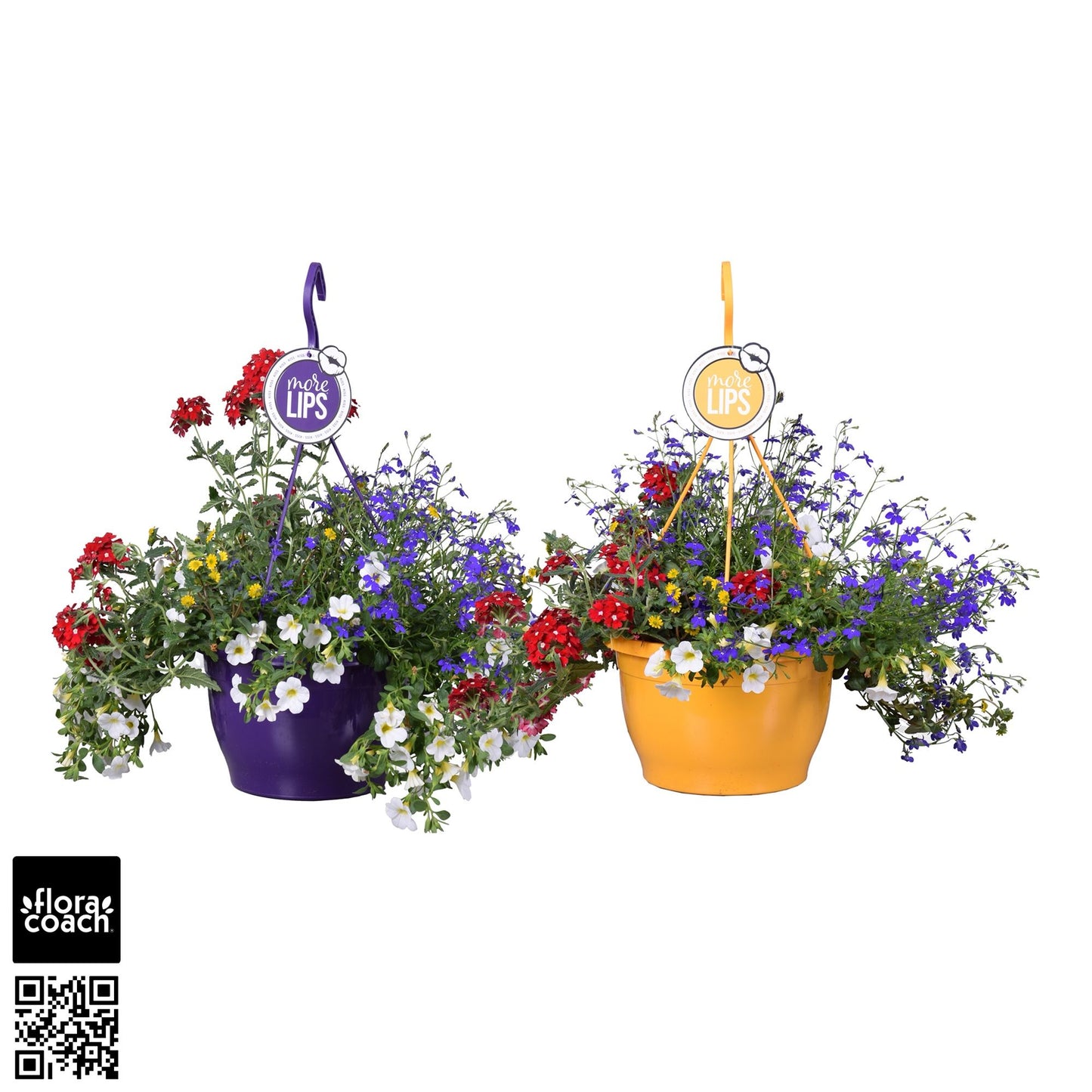 Adorables Hanging Basket Mix 50cm 25cm Pot