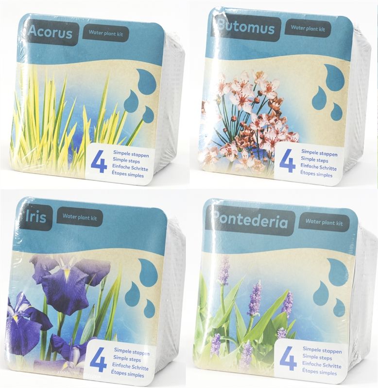 Waterplants 12cm 18cm Pot